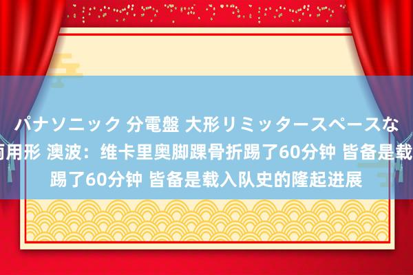 パナソニック 分電盤 大形リミッタースペースなし 露出・半埋込両用形 澳波：维卡里奥脚踝骨折踢了60分钟 皆备是载入队史的隆起进展