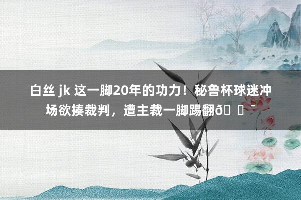 白丝 jk 这一脚20年的功力！秘鲁杯球迷冲场欲揍裁判，遭主裁一脚踢翻😯